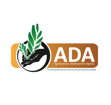 our clients, about us